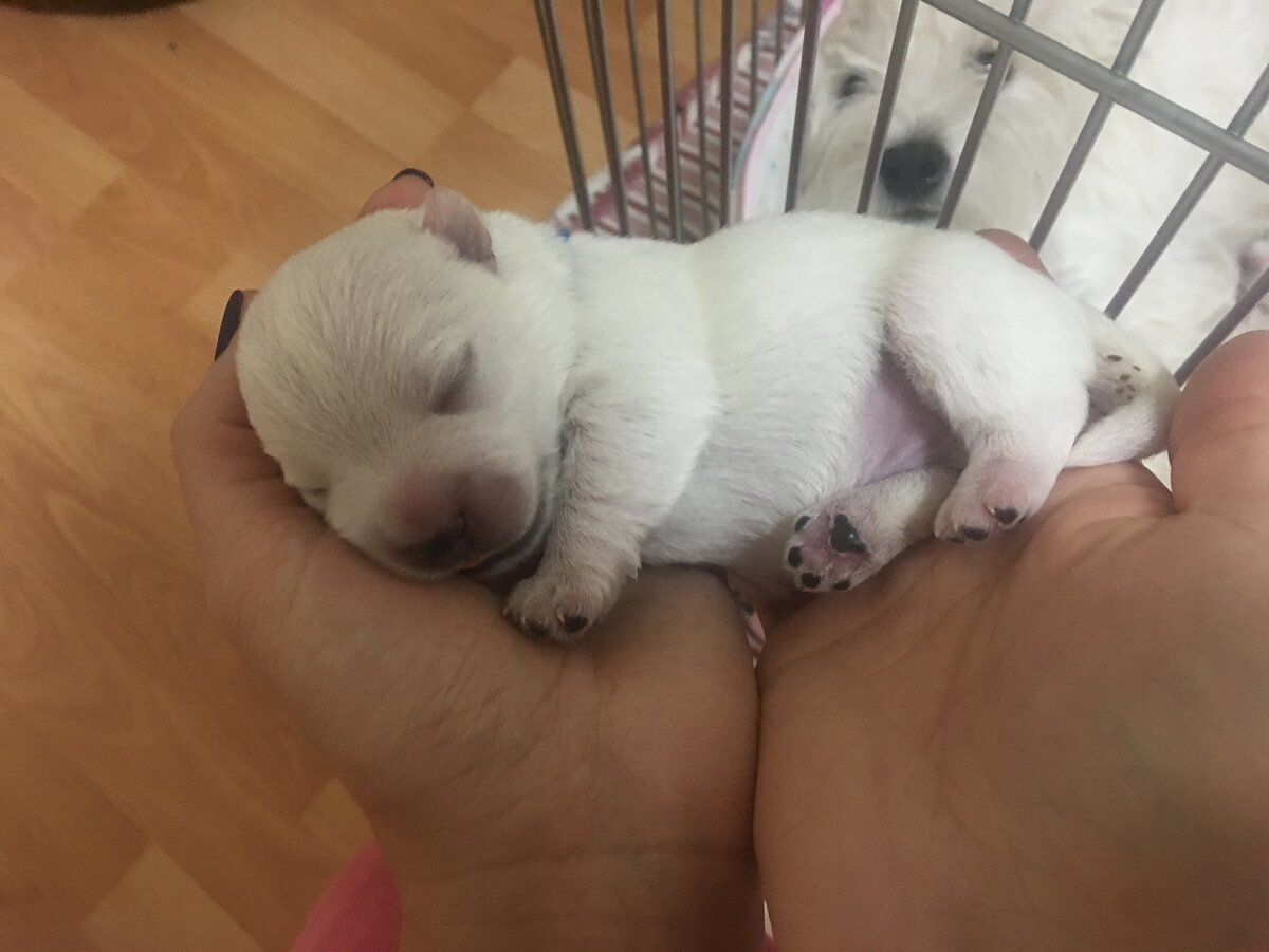 Фото автора! Кто и куда забрал моего малыша?