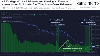 Киты к накоплению, xrp вернулись.