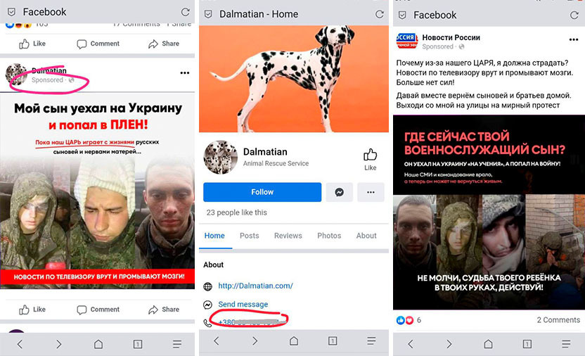 Один из фейков доступный в свободном доступе по поиску фейков