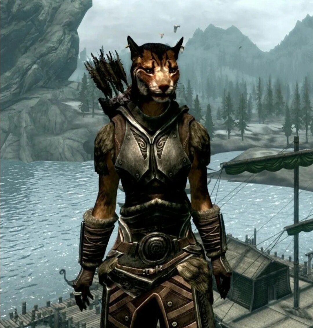 Котомать глазами кота Пуаро