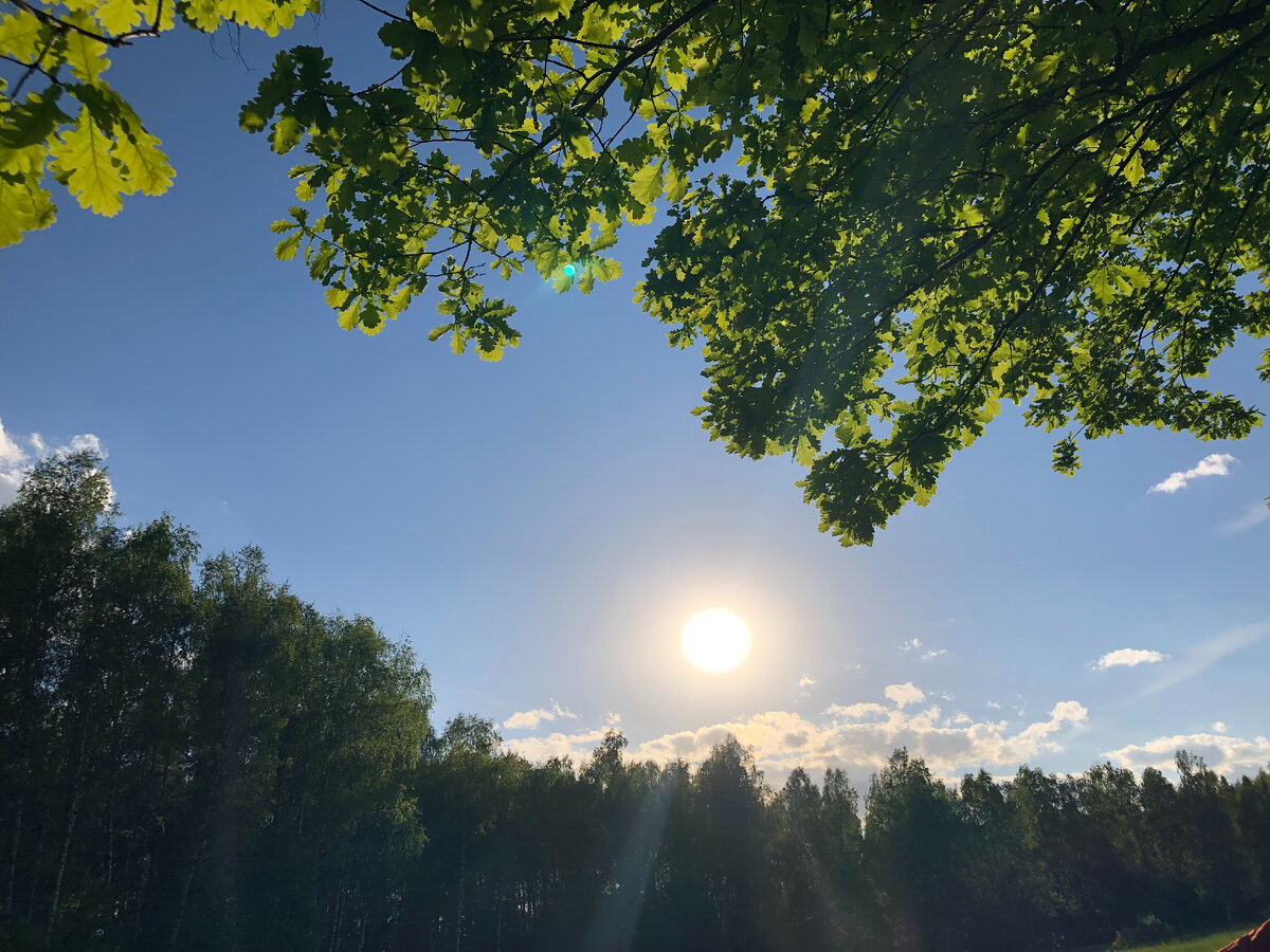 Анна Штальт