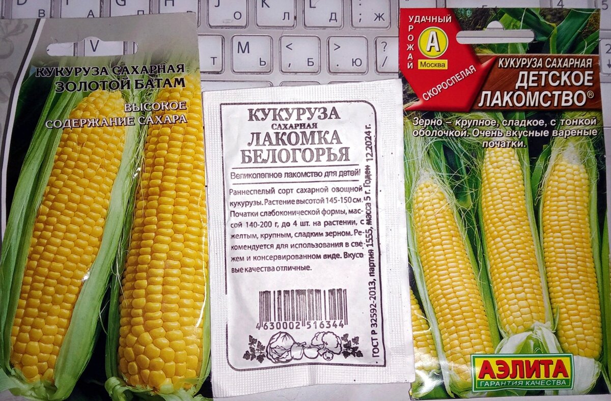 СЕМЕНА НА ЭТОТ СЕЗОН