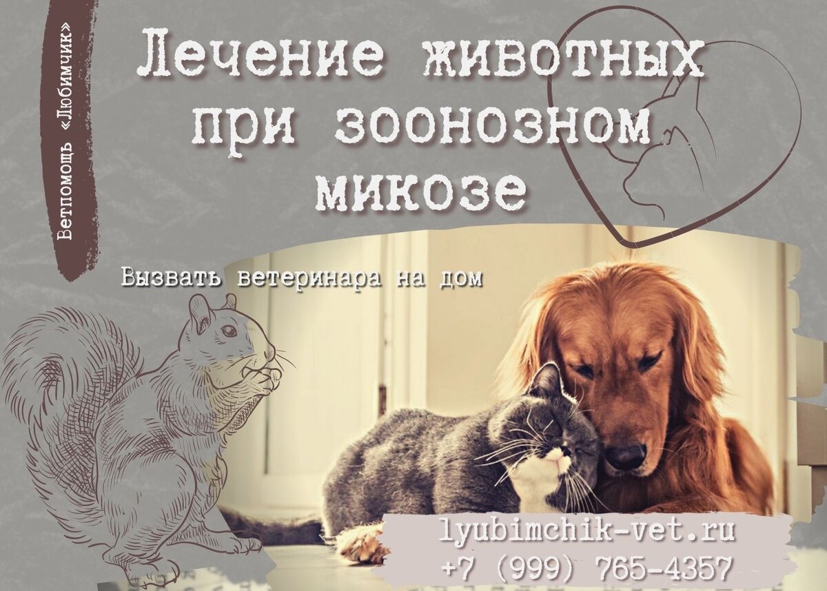 Препараты для кожи собак - для лечения кожи - купить мазь от кожных заболеваний в Москве, цены