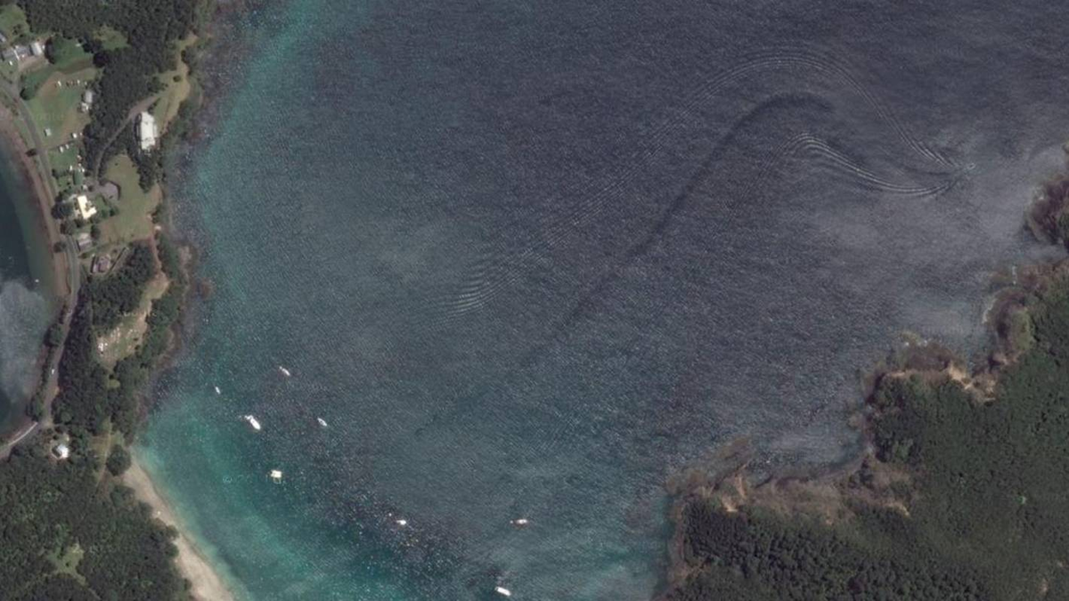 Снимок с предполагаемым морским чудовищем, сделанный в 2014 году 