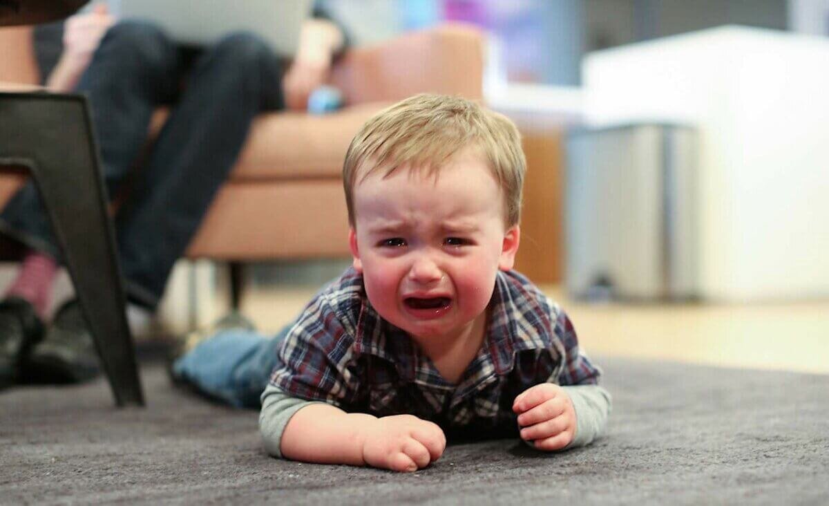 Фото взято из открытых источников