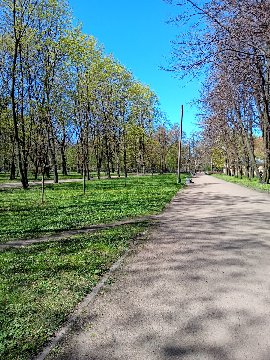 В нашем парке почти лето!))) 