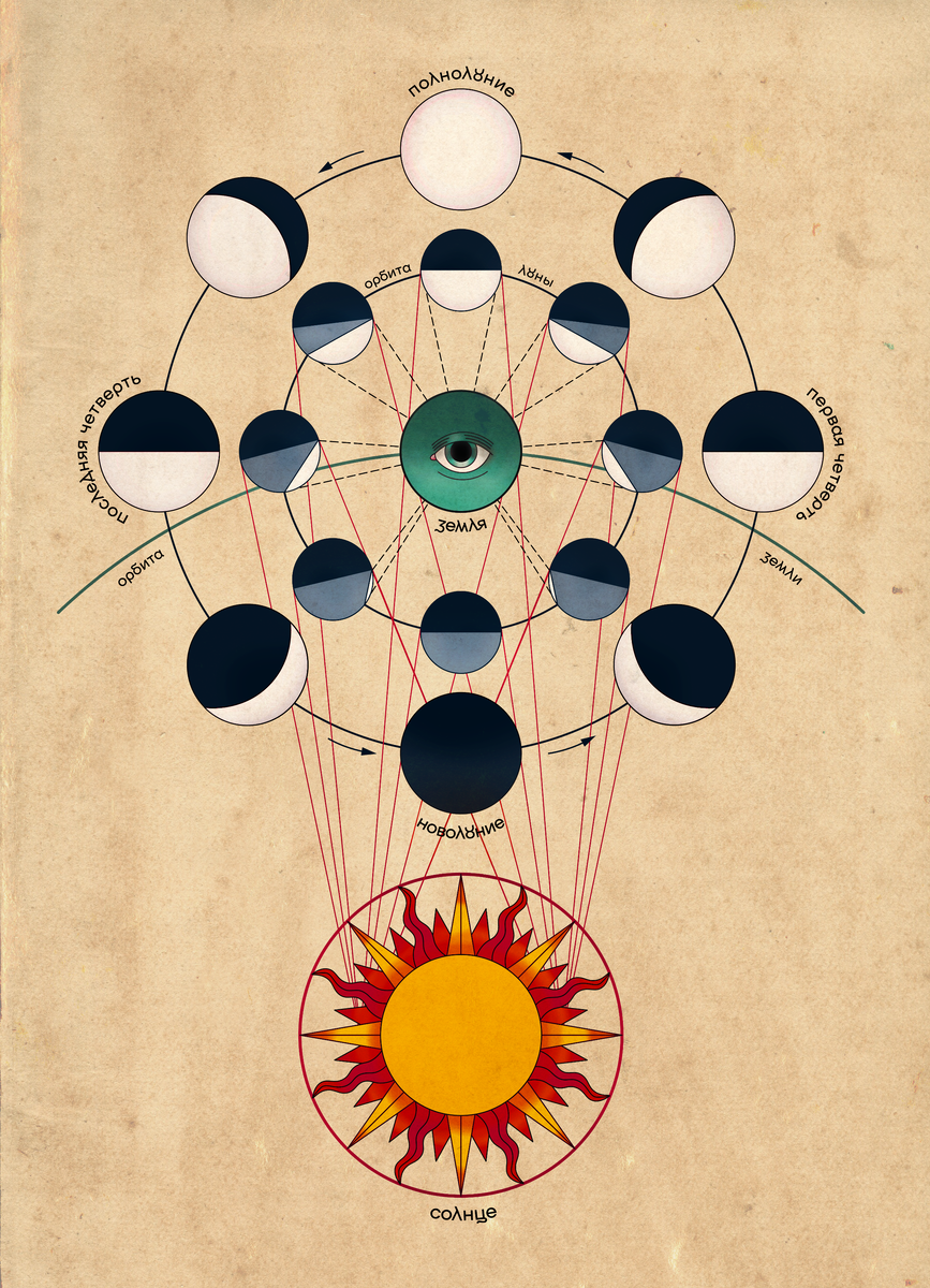 Чтобы более наглядно объяснить движение Луны и цикл её освещенности,  обратилась к Кате — она нарисовала для вас крутейшую схему. По внешнему  кругу изображено то, как мы видим Луну в разных положениях её цикла.  Внутренний круг показывает фактическую освещенность Луны Солнцем.