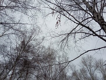 Фотография из личного архива автора