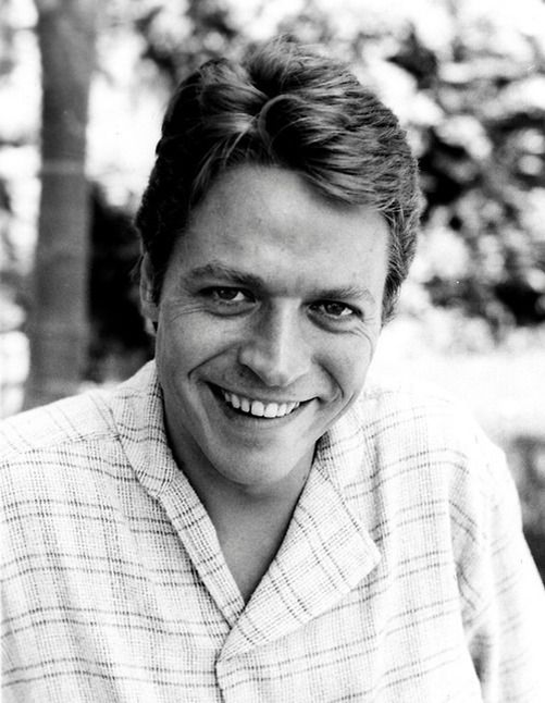 Robert Palmer