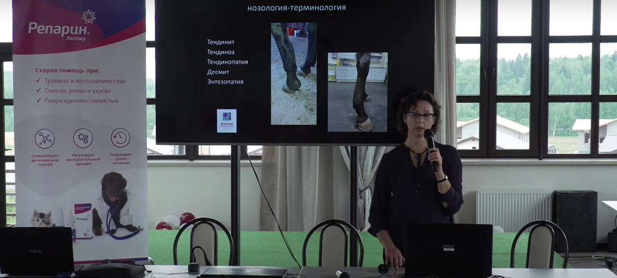 Мария ЖУКОВА, Главный ветеринарный врач MAXIMA VET, на Евразийском Ветеринарном Конном Конгрессе-2021