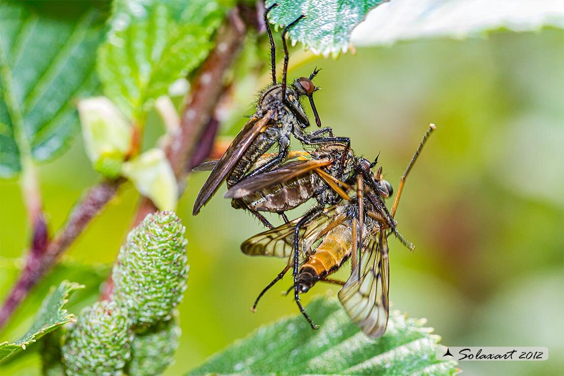 Накрылись бы листиком, дети ведь смотрят! 