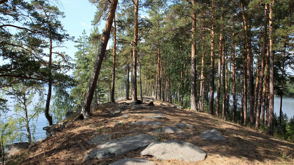 Фото из интернета.