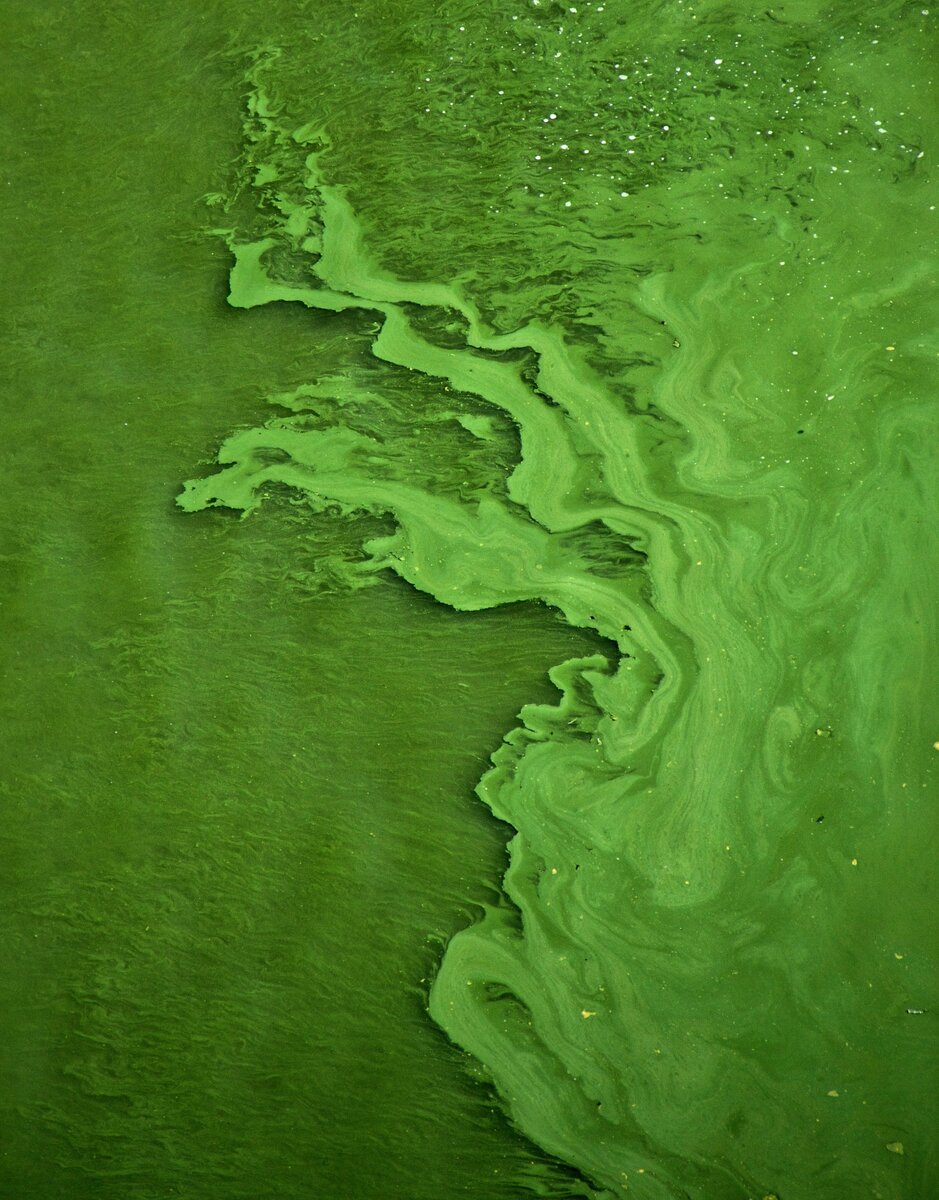   unsplash.com
