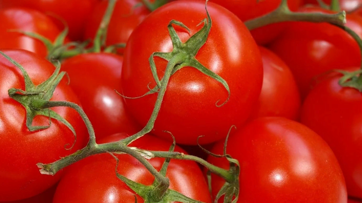 Помидоры
