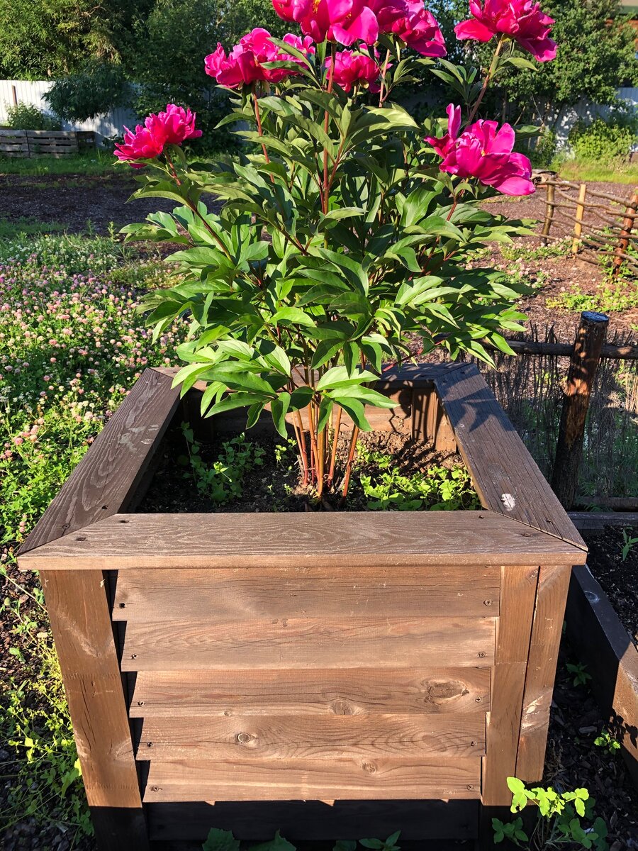 Вазон для цветов фото