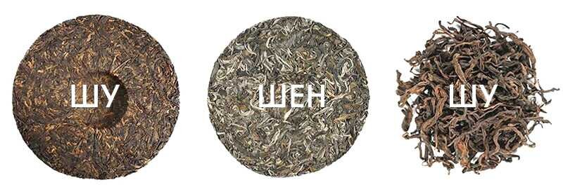 шу пуэр и шен пуэр. таблетированный пуэр. чем отличается пуэр. шу и шен пуэр. шу и шен пуэр.