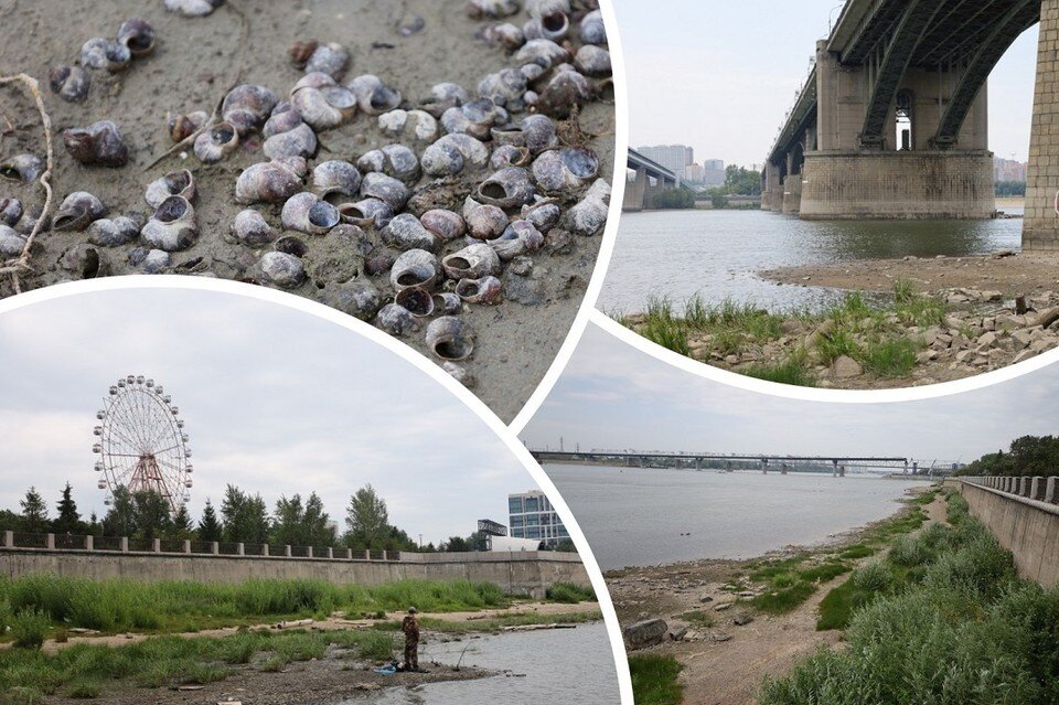     Уровень воды опустился до 39 сантиметров. Фото: Дмитрий Торгач.