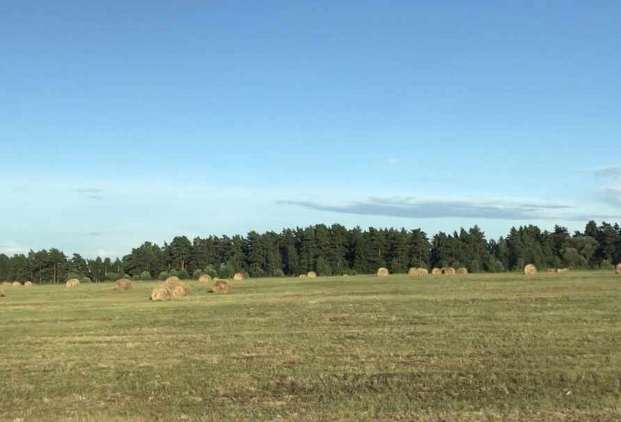 Личное фото 