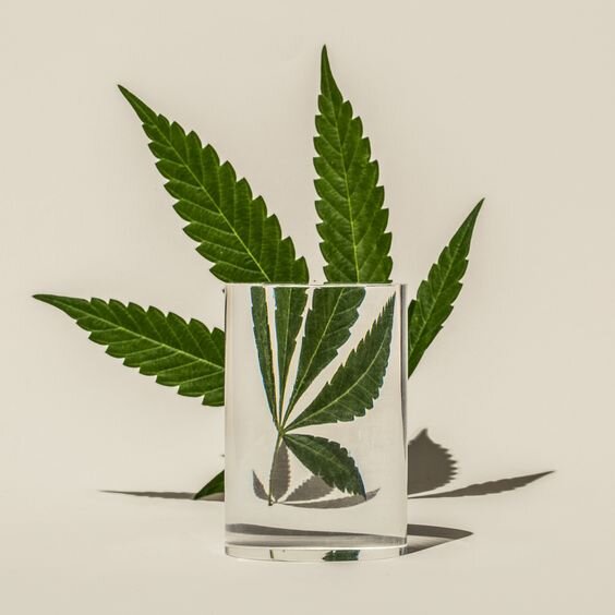 Фото: Suzanne Saroff