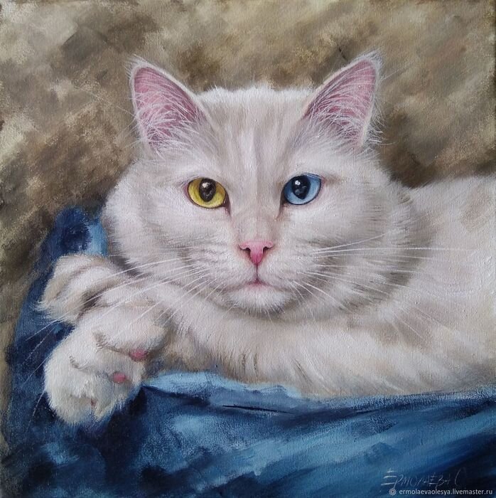 ����� ���������