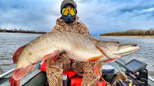 ШОК! ЩУКИ ЛЮДОЕДЫ ЖРУТ ПЕТУХОВ И ЛОМАЮТ РУКИ! Трофейная рыбалка! Siberian fishing big fish