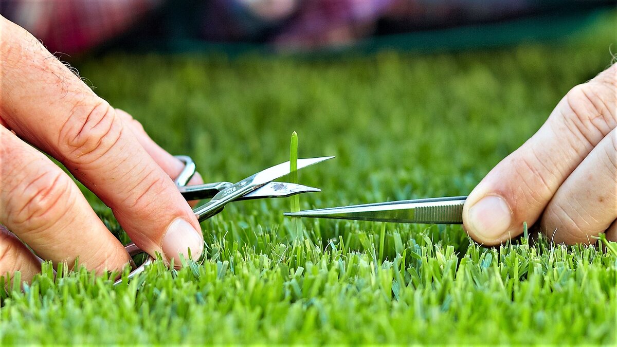 фото flytothesky.ru