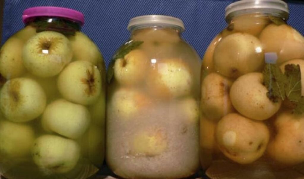 Моченые яблоки в банке. Моченые яблоки в банке. Мочение яблок в банках на зиму. Яблоки мочёные в банках на зиму. Квашеные яблоки.
