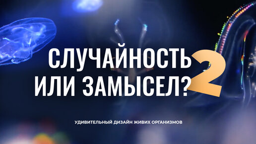 Случайность или Замысел? — Удивительный дизайн живых организмов (2 часть)