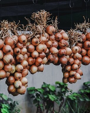 Изображение из открытого источника. Unsplash