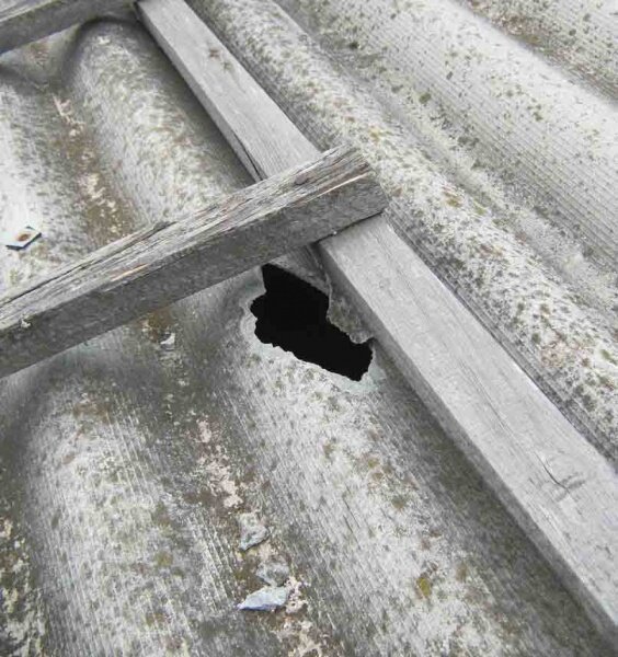 фотография из открытых источников