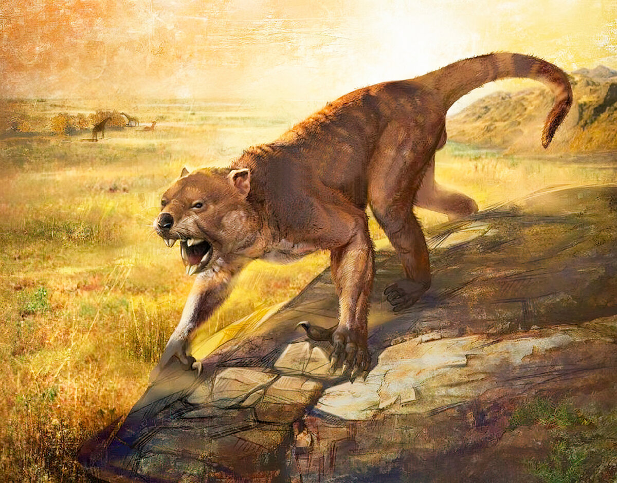 Сумчатый лев «Тилаколео». Австралийский псевдо - лев плейстоцена. Вымершее животное. Факты о животных