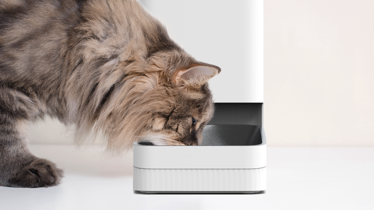 Ваш питомец скажет вам спасибо: обзор Xiaomi Smart Pet Food Feeder и Xiaomi Smart Pet Fountain