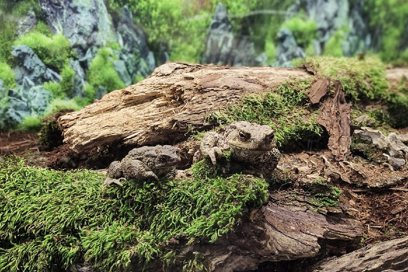 Фото: Марина Туманова 