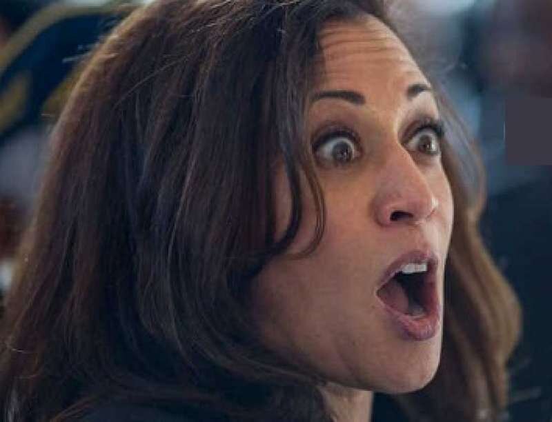 https://m.dagospia.com/che-bacchettona-kamala-harris-la-pornostar-cherie-deville-attacca-la-vicepresidente-258919/gallery