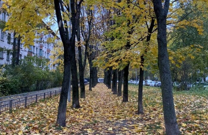    Marina Dmitrevskaya в Facebook