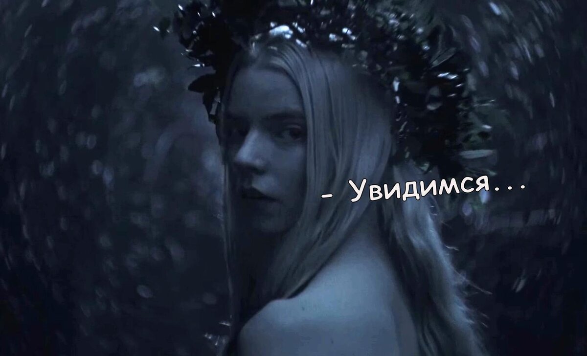 Искатель дзен. Искатель дзен