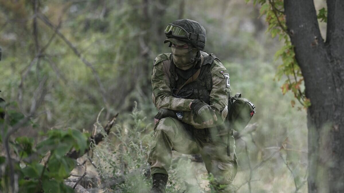    Военнослужащий ВС РФ в селе Александровка Херсонской области© РИА Новости / Константин Михальчевский