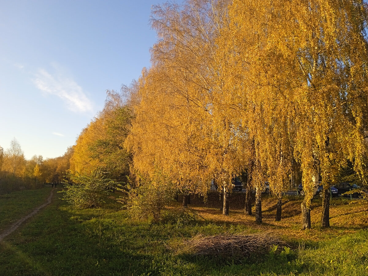 Фотография сделана мной. 