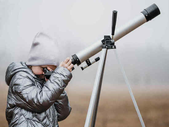     Фото: ru.freepik.com