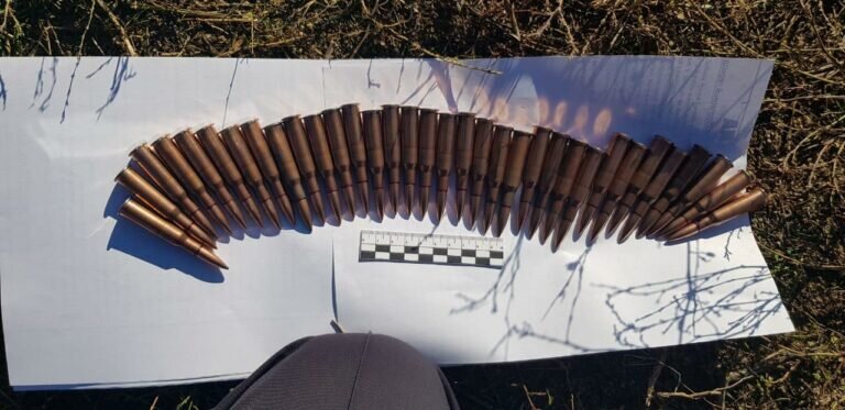    В Шарлыкском районе задержаны охотники с патронами для военного огнестрельного оружия Марина Шарт