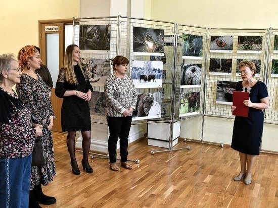     фото пресс-службы администрации г.о. Серпухов