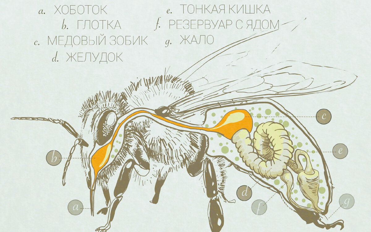   ,           .            .-3