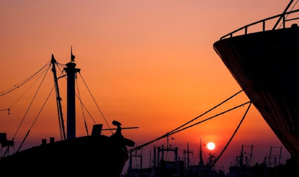    Фото: Freepik Елена Стеценко