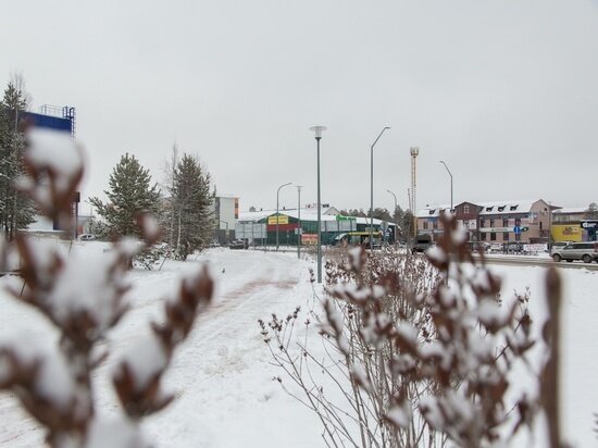     Фото: vk.com Алексей Романов