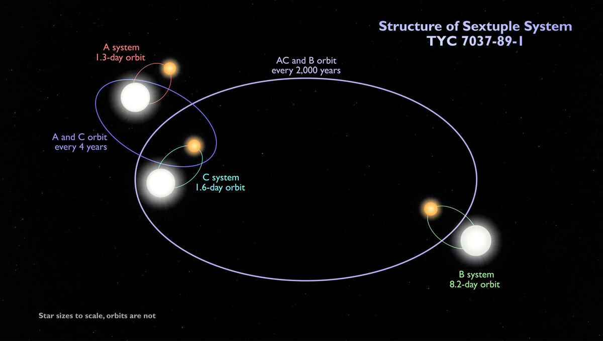 Конфигурация шестизвездной системы TIC 168789840 (TYC 7037-89-1). Фото: NASA 