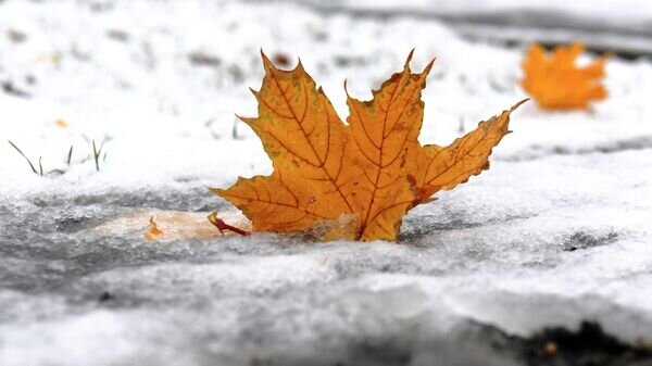   © Sputnik / Максим Богодвид