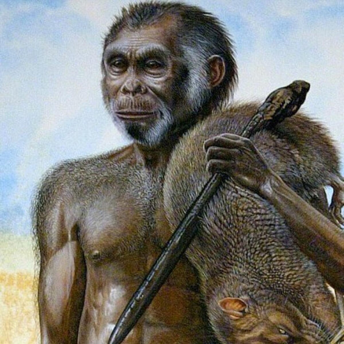 Homo floresiensis. Хомо сапиенс хомо флоресский.