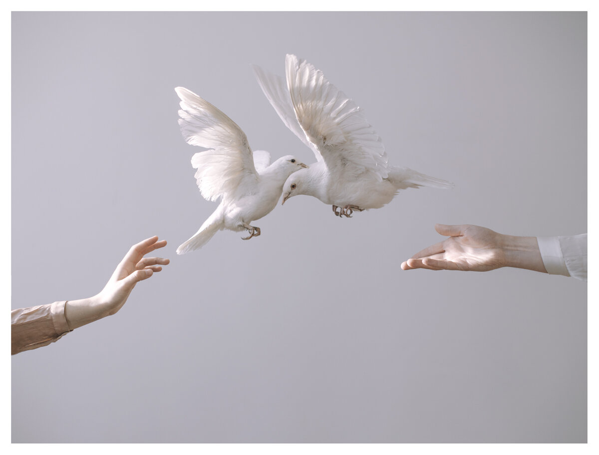 Life in photographs.  Laura Macabrescu.