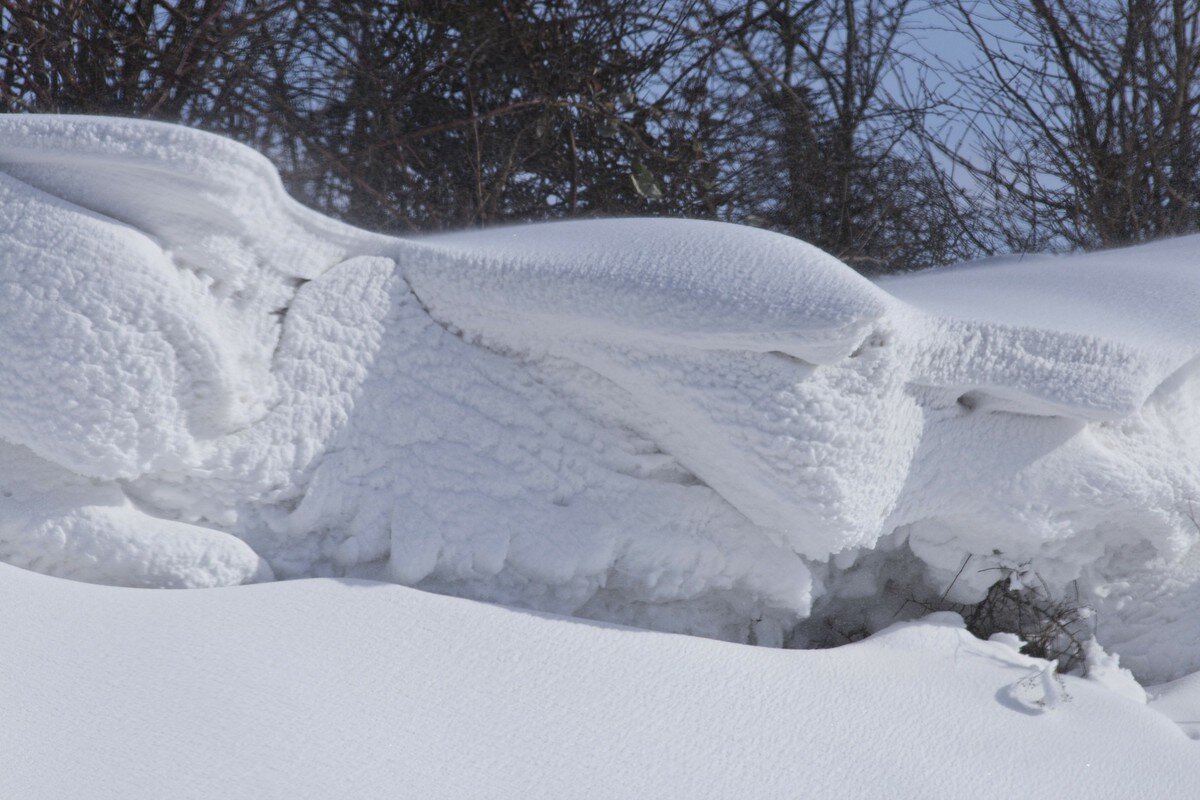    Фото: pixabay.com/ru