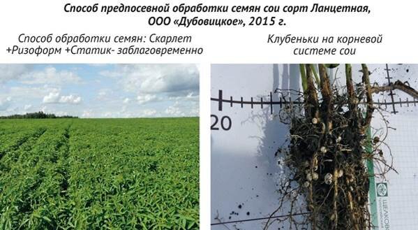 соя 32. соя 32. соя. соя 32. соус соевый слабосол.